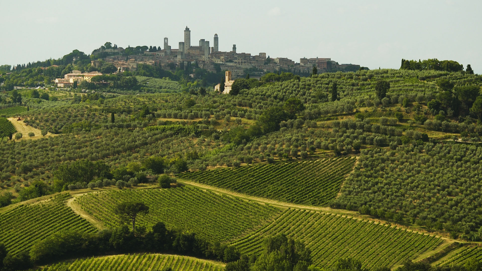 Tuscan hills landscape